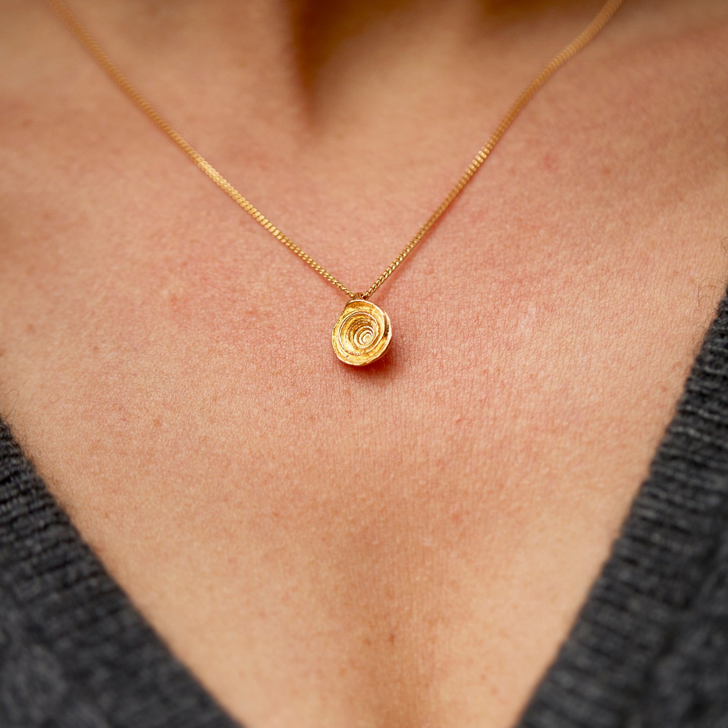 necklace snail fragment