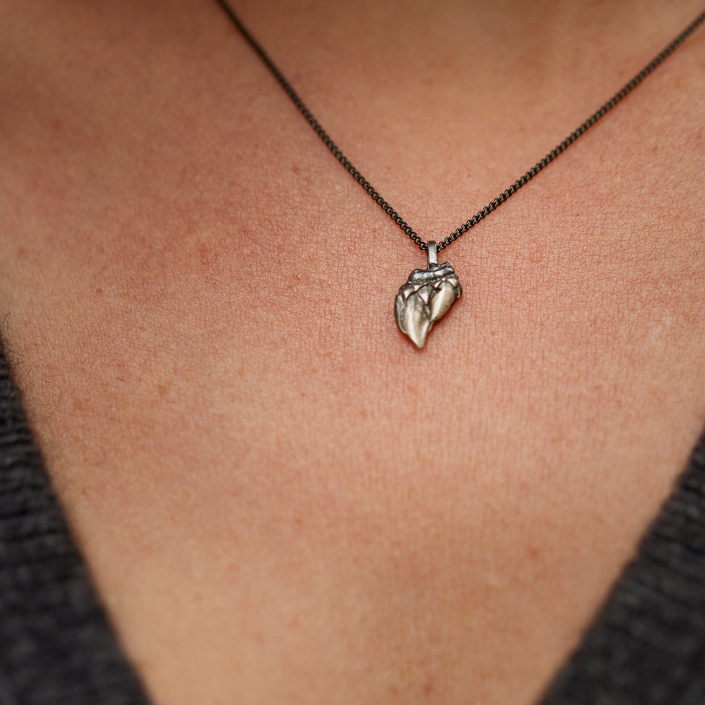 necklace pollicipes
