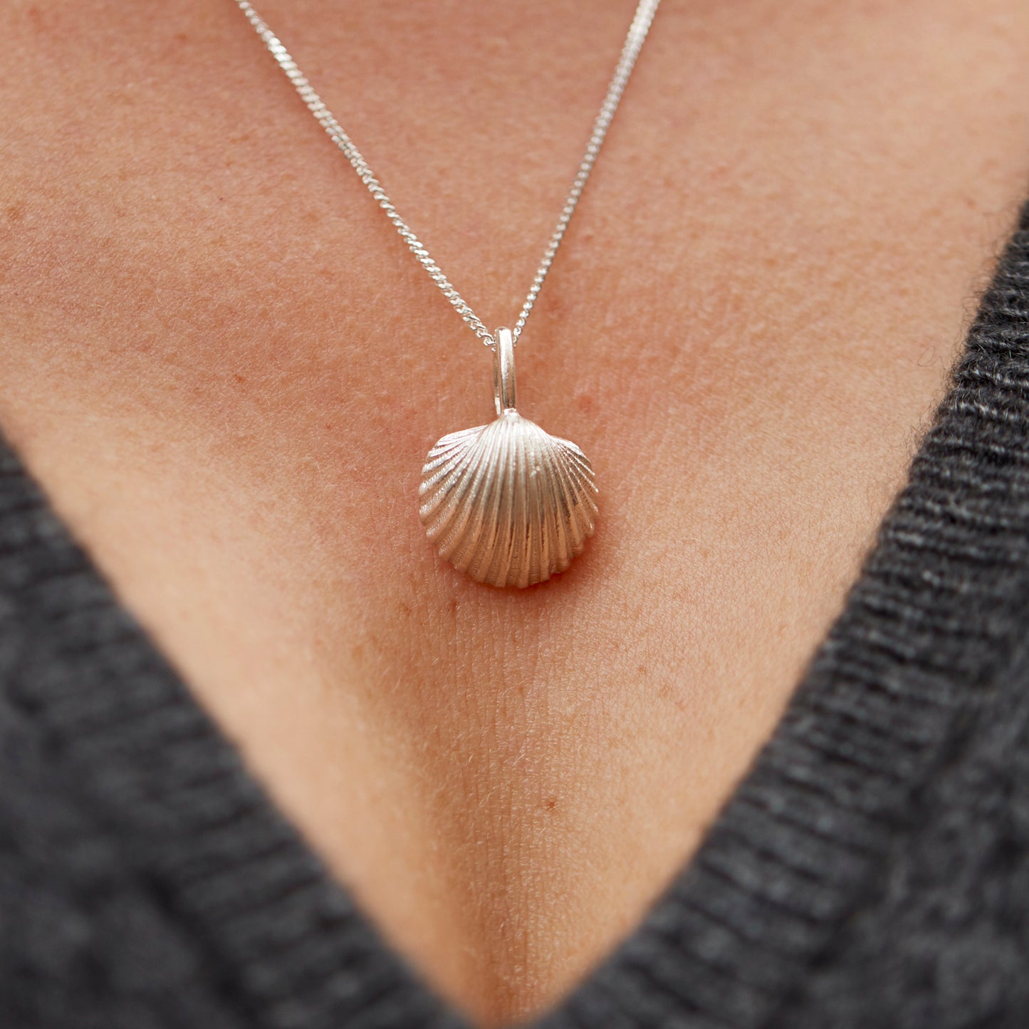"Macro Cardiidae", MACRO Molluscus Collection.