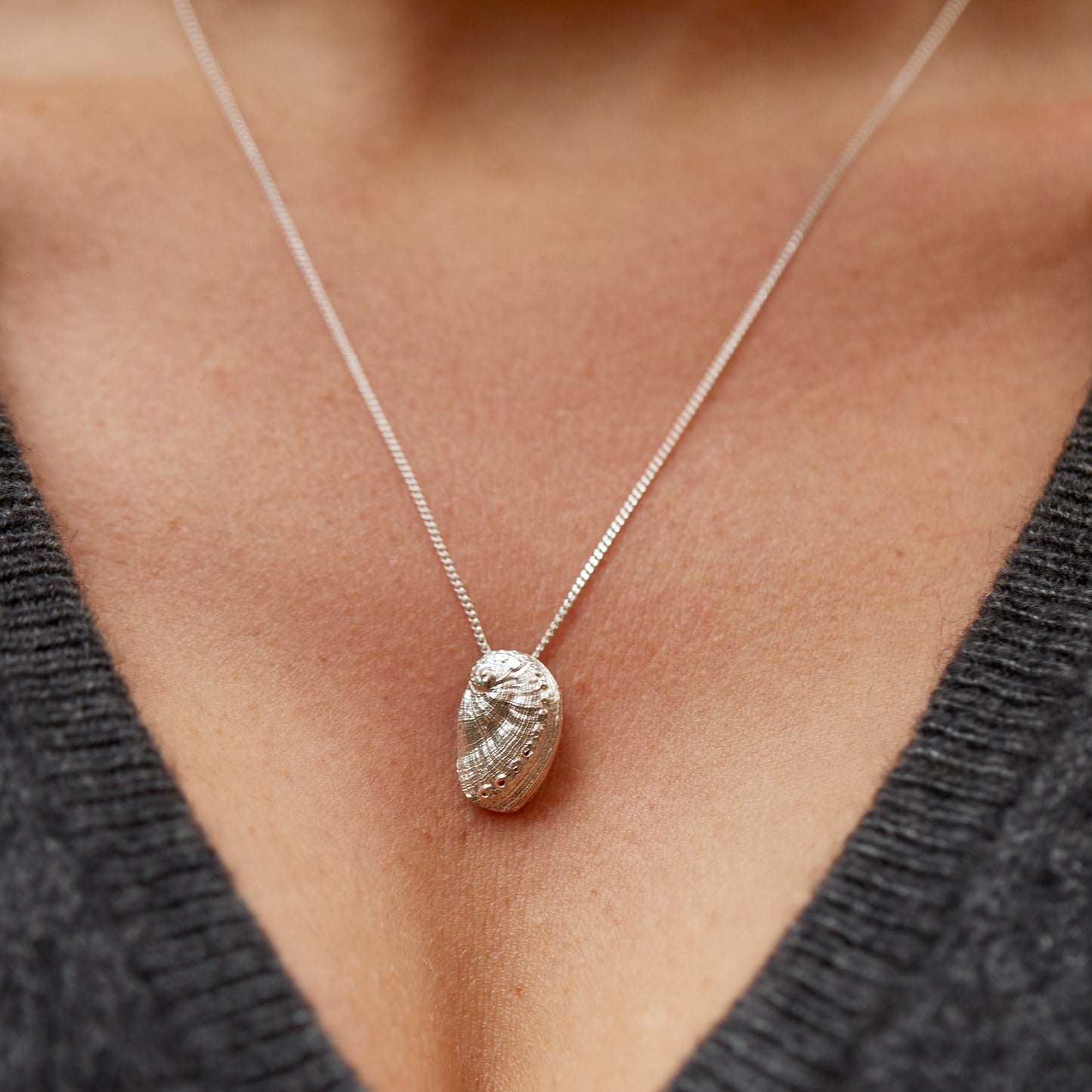 "Haliotis", MACRO Molluscus Collection.