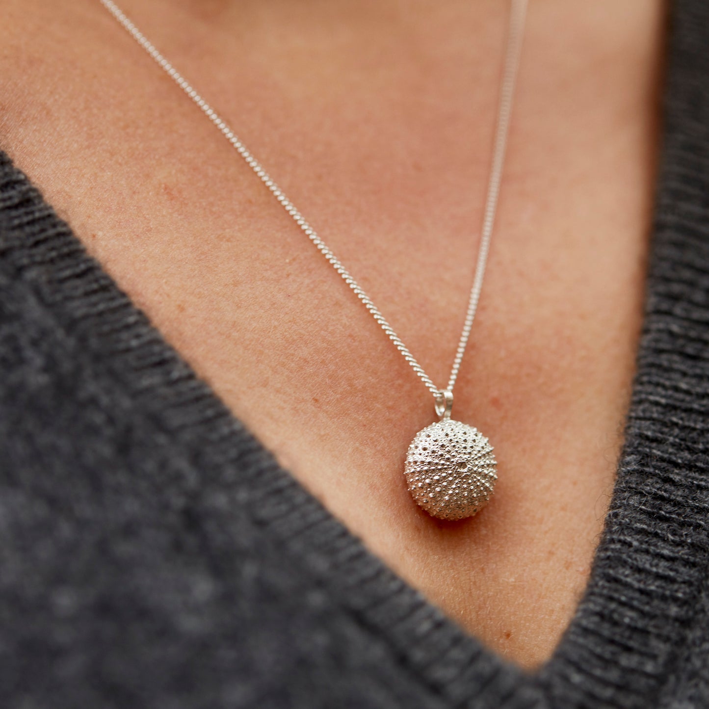 necklace sea urchin