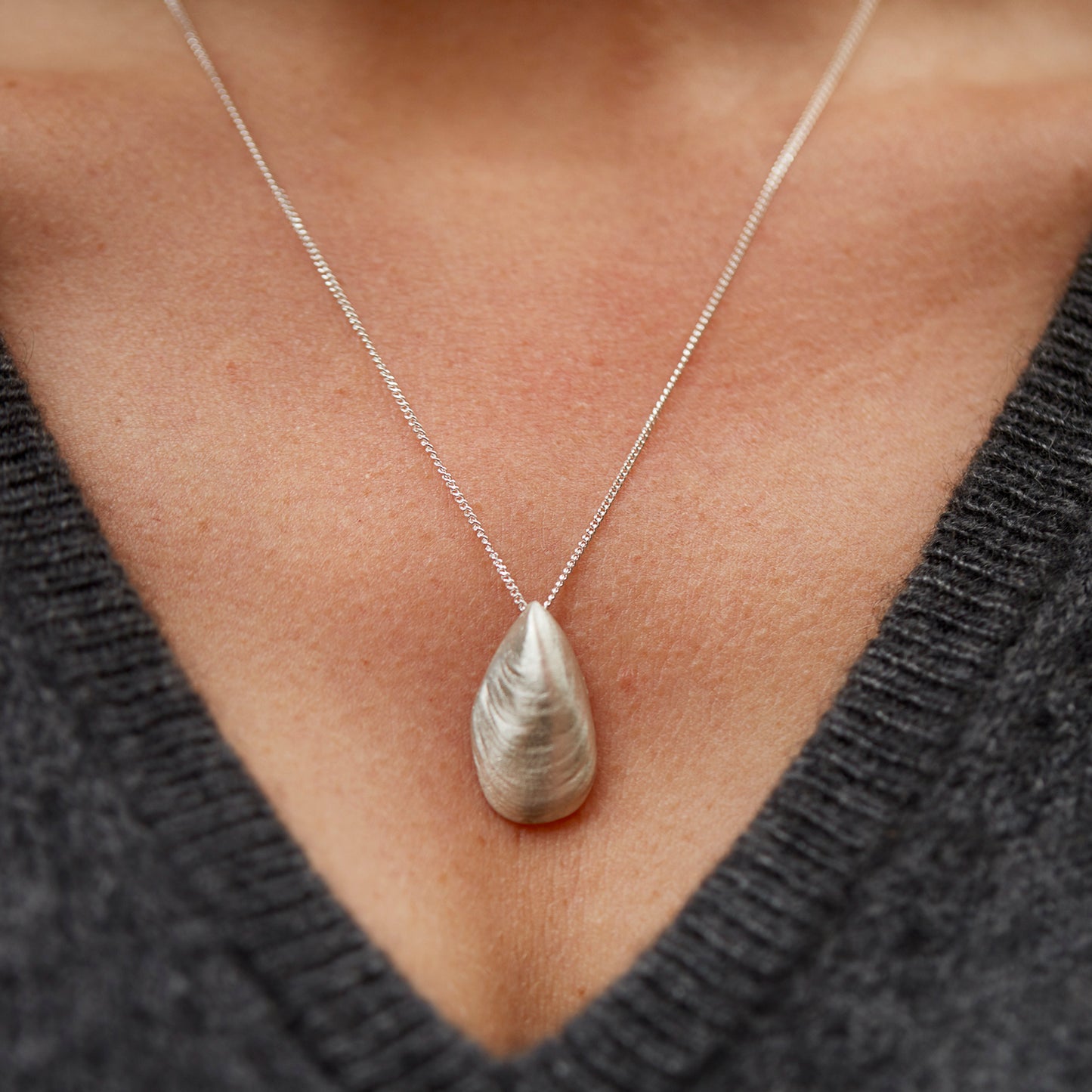 "Mytilus", MACRO Molluscus Collection.
