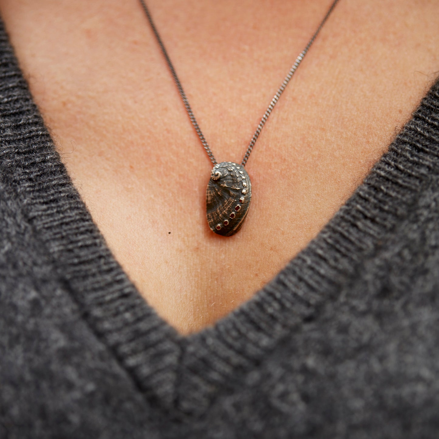 "Haliotis", MACRO Molluscus Collection.