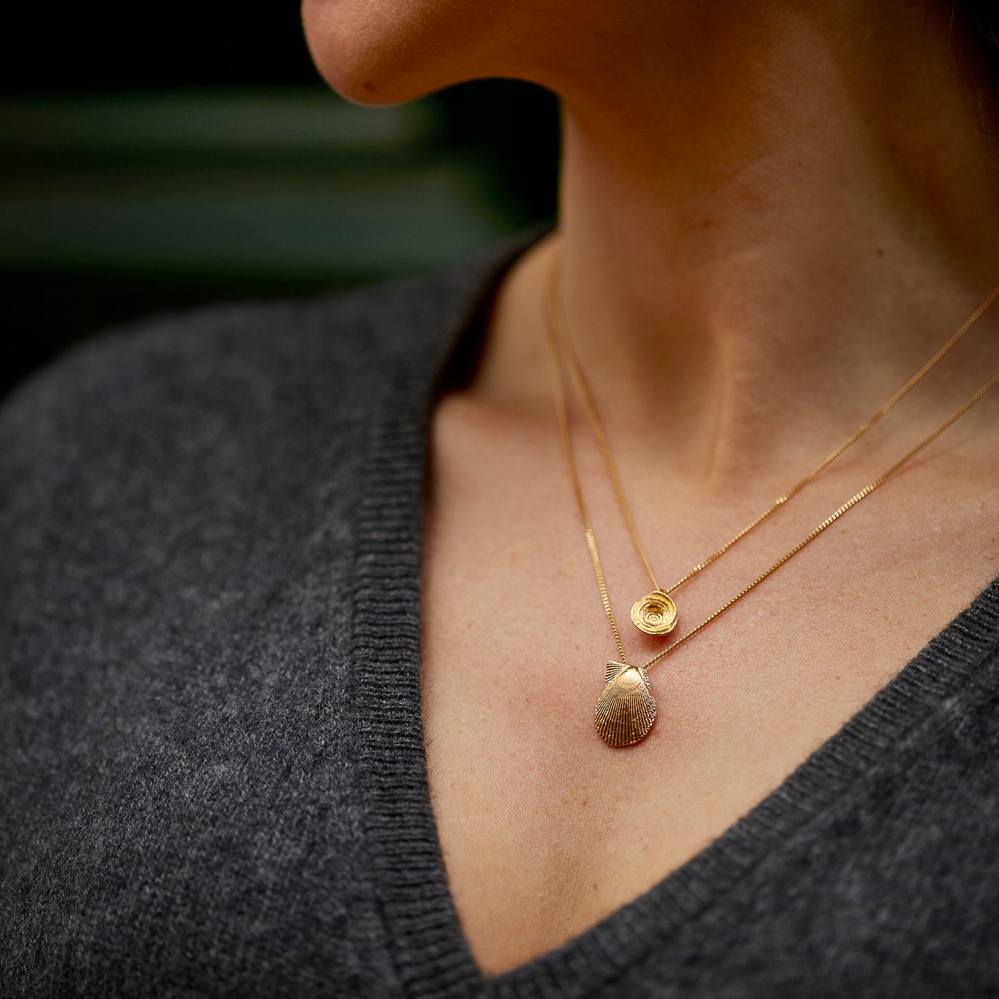 necklace snail fragment