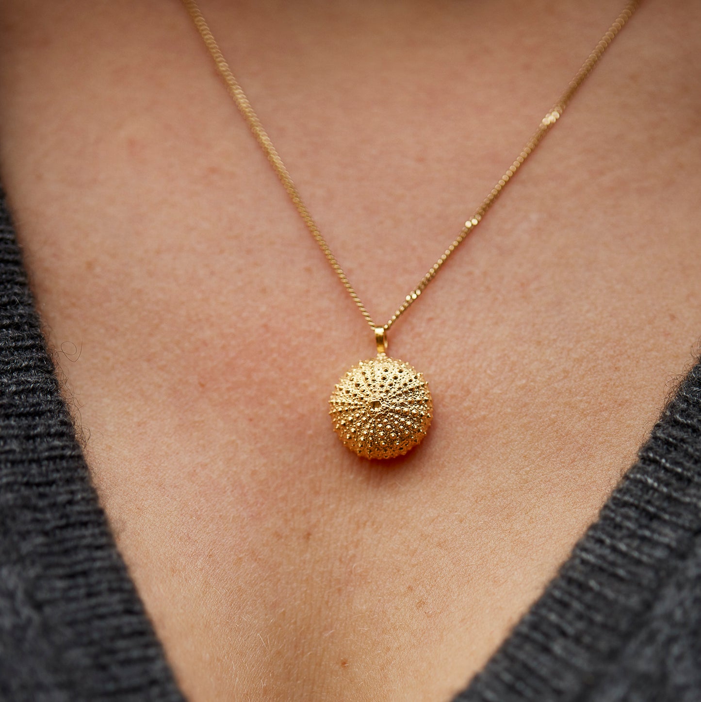 necklace sea urchin