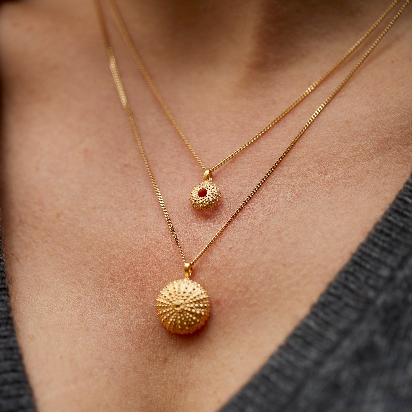 necklace sea urchin