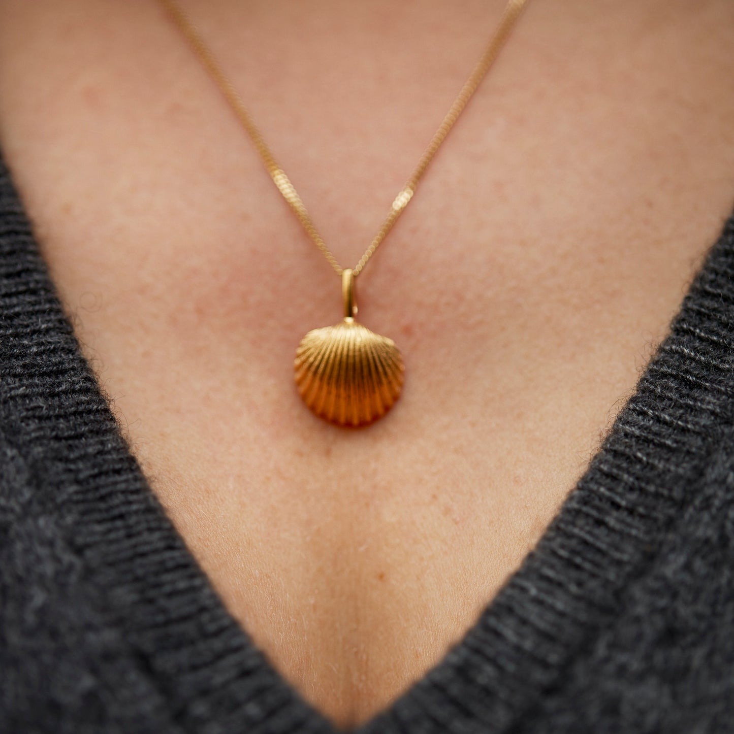 "Macro Cardiidae", MACRO Molluscus Collection.