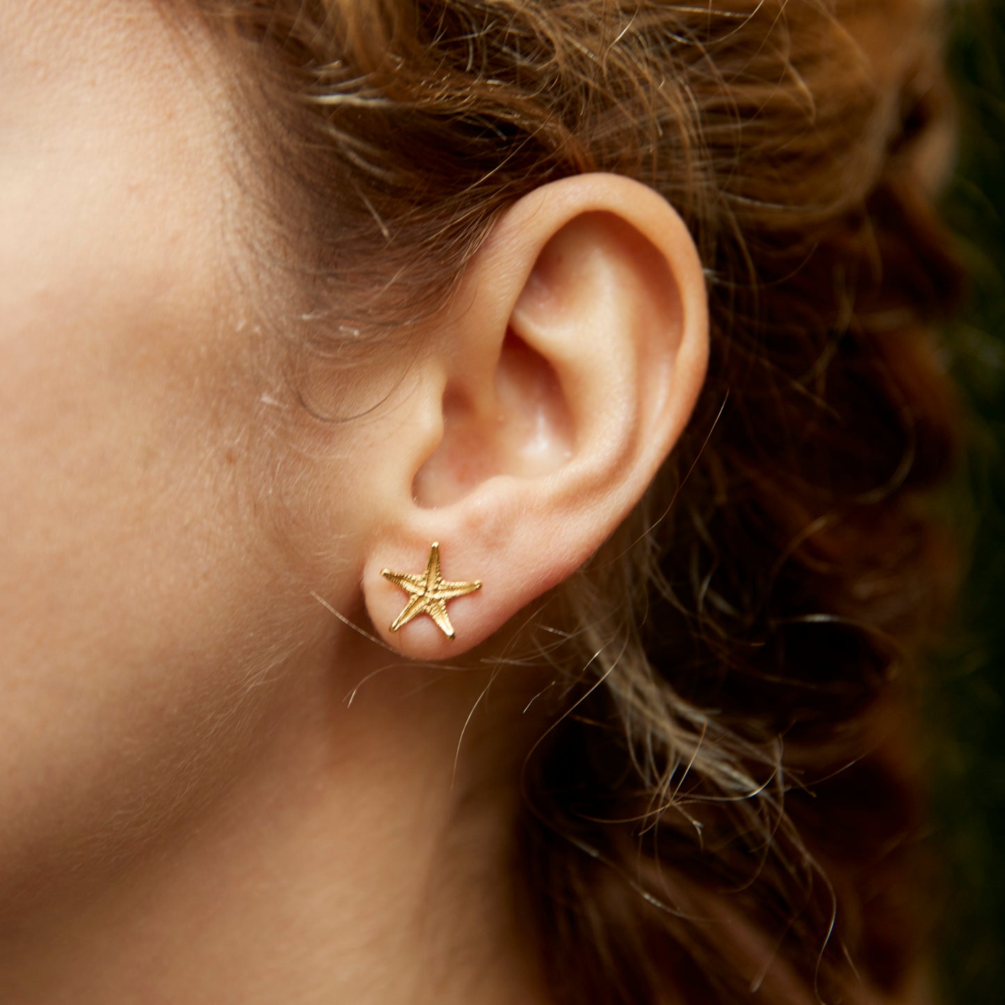 earrings asteroidea