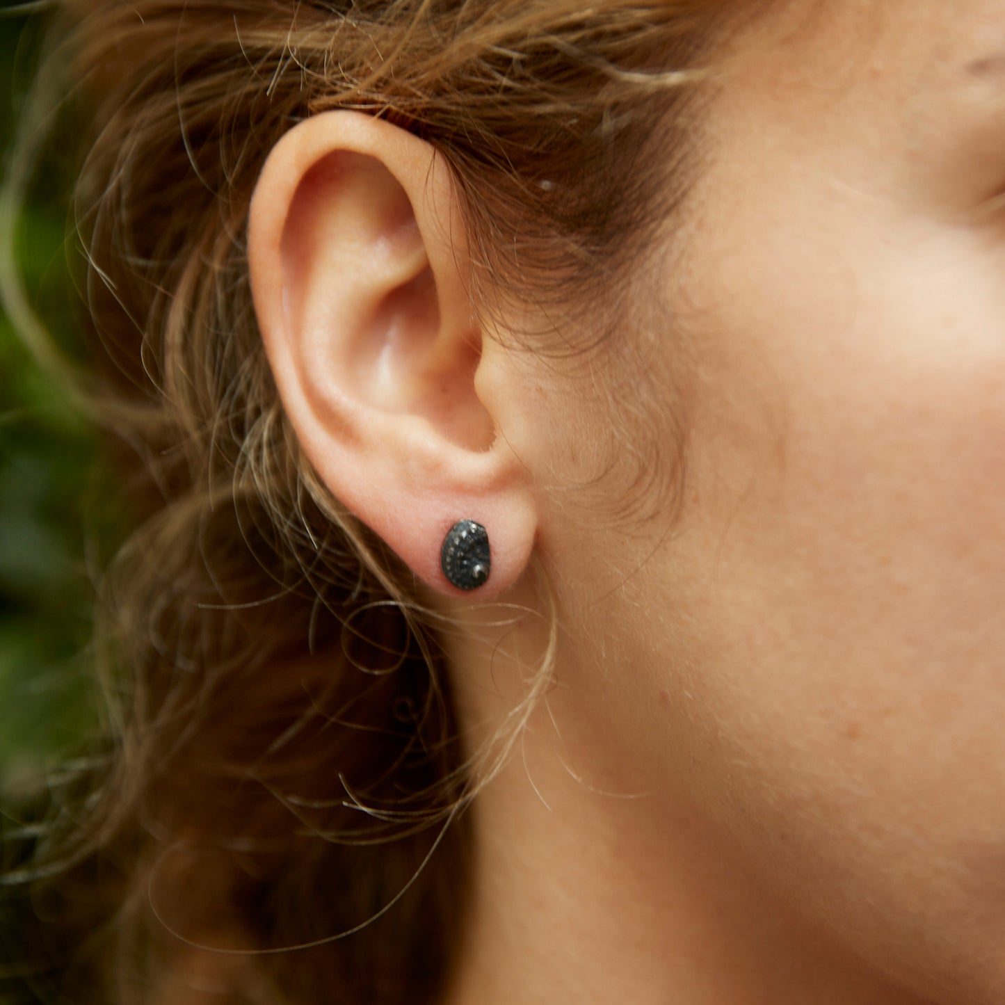 earrings haliotis