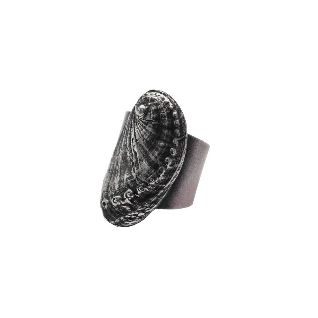 ring haliotis