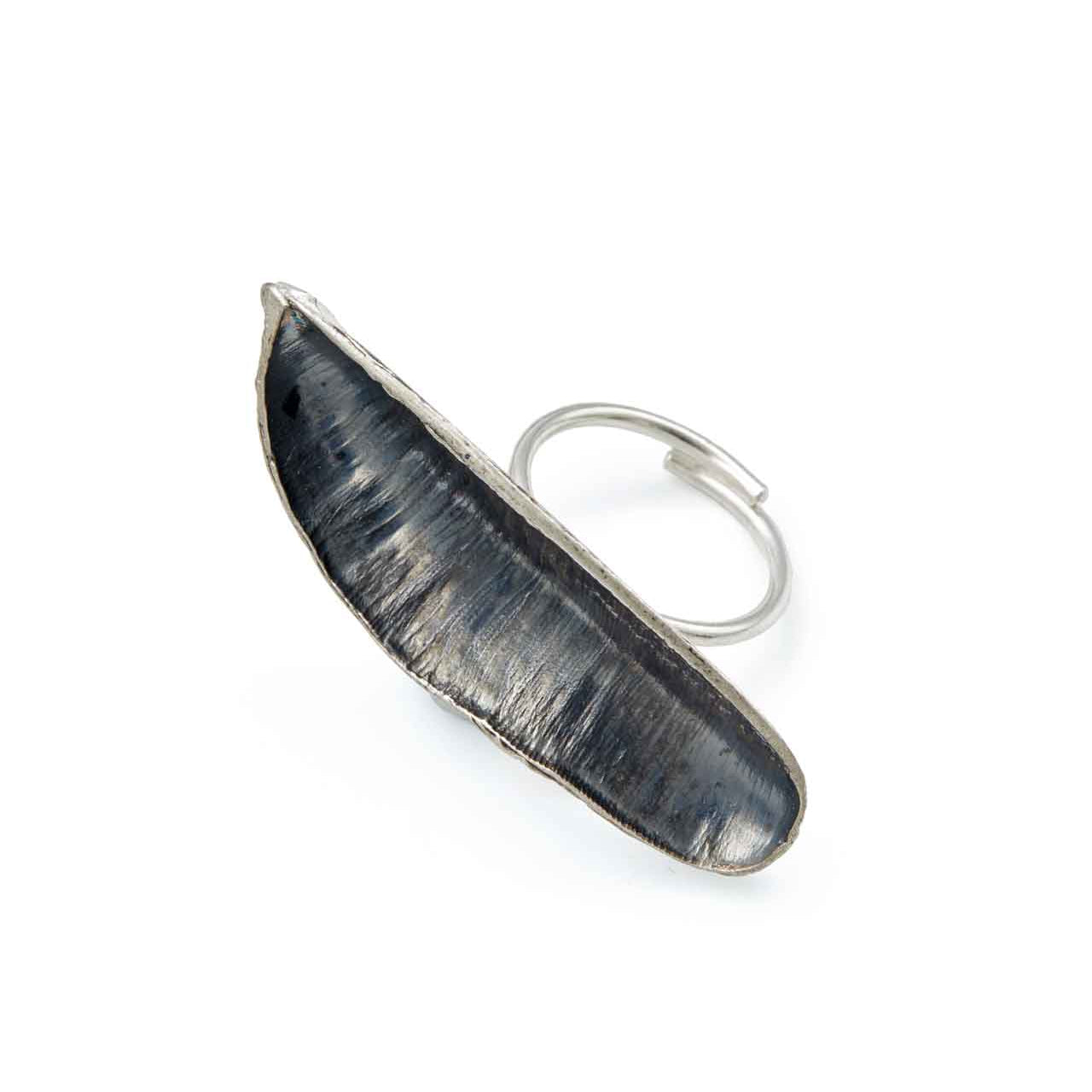ring macro seed coat