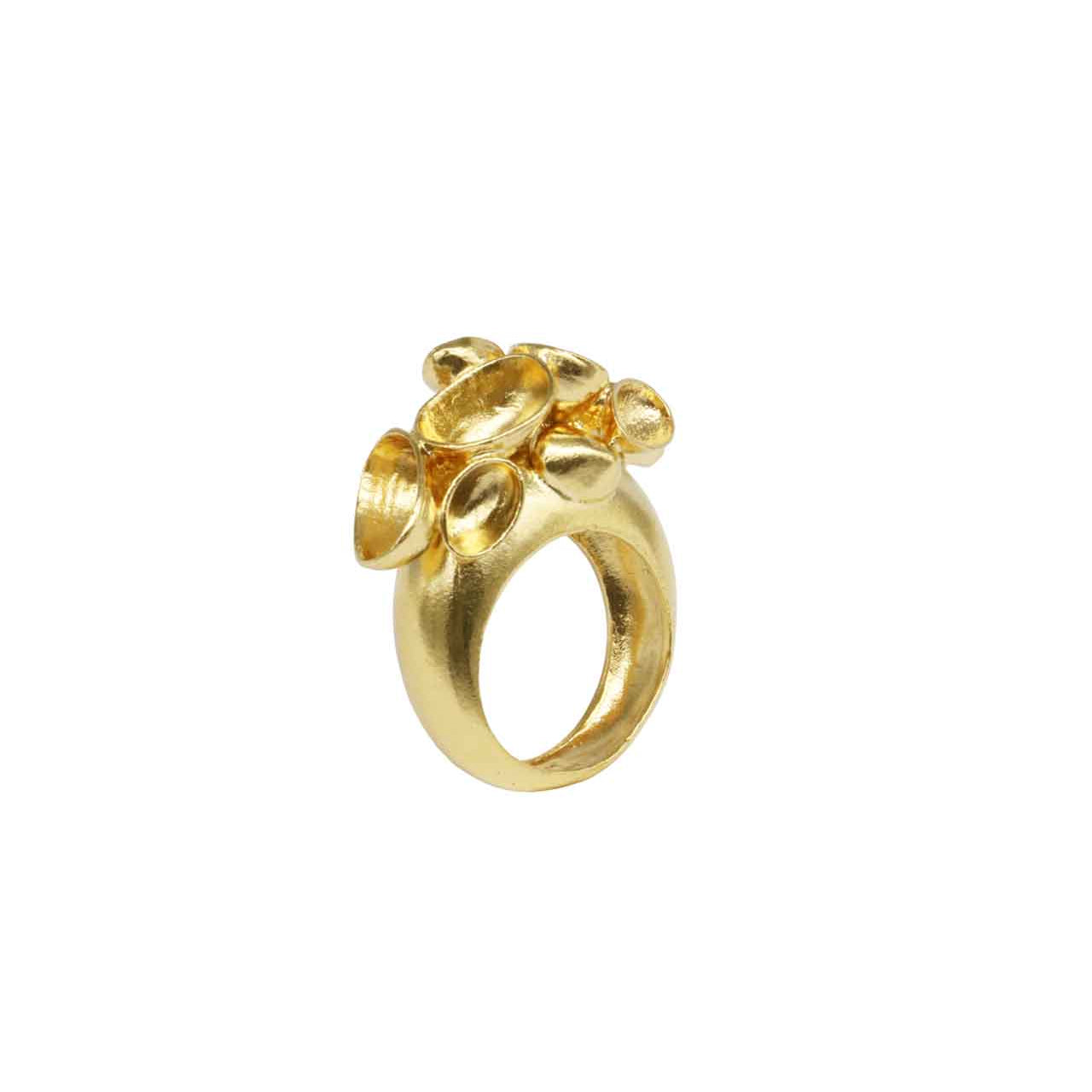 ring spoon shell