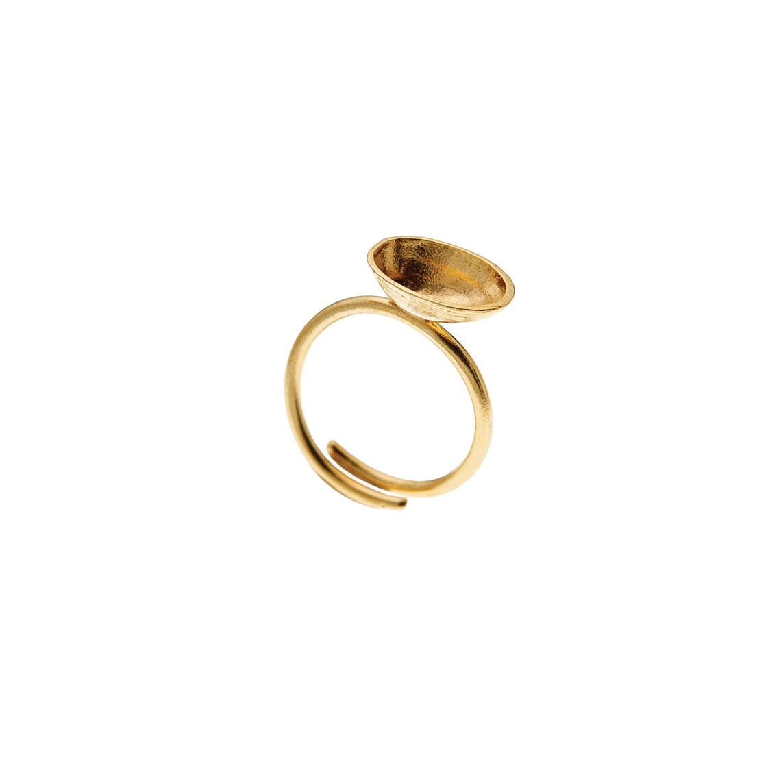 ring spoon shell