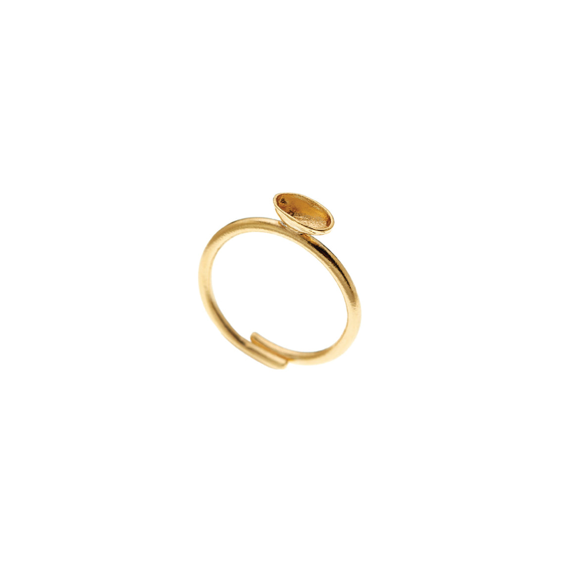 ring spoon shell