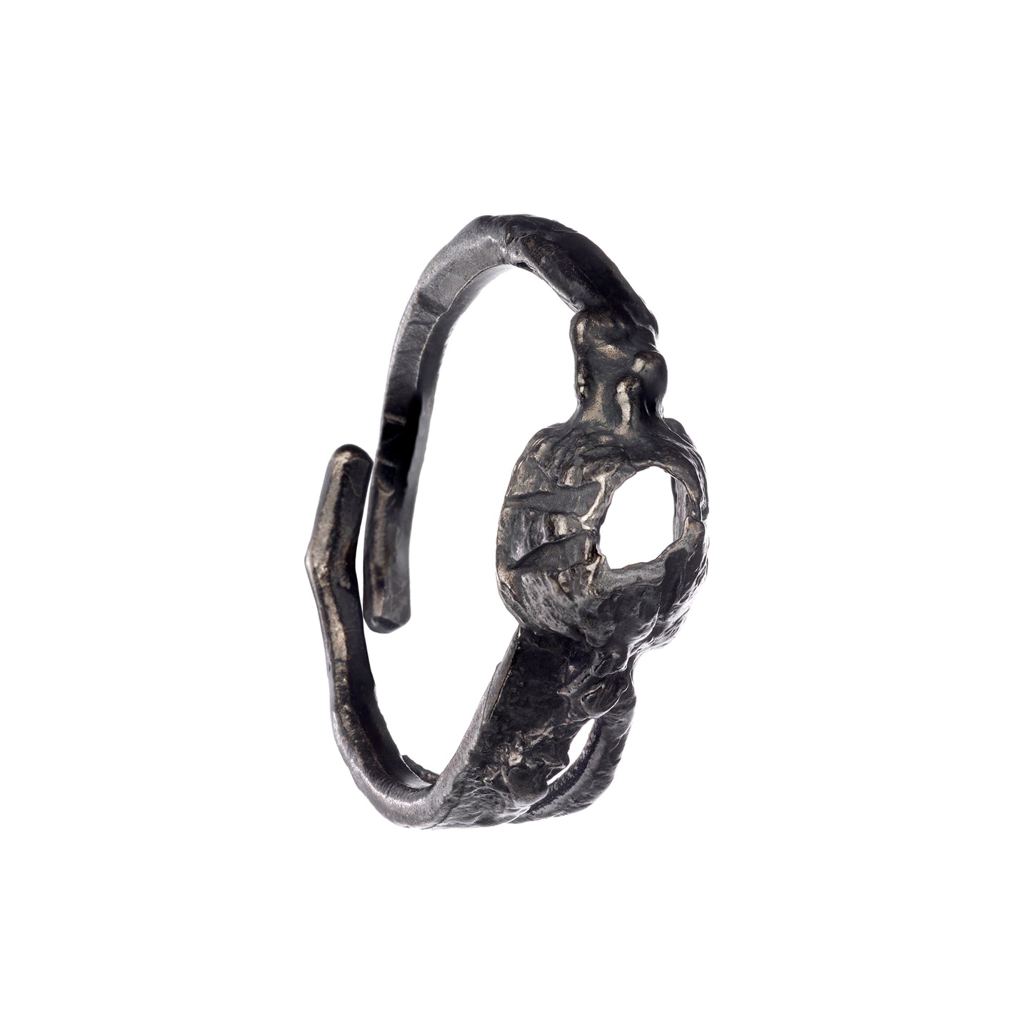 ring thoracica collection