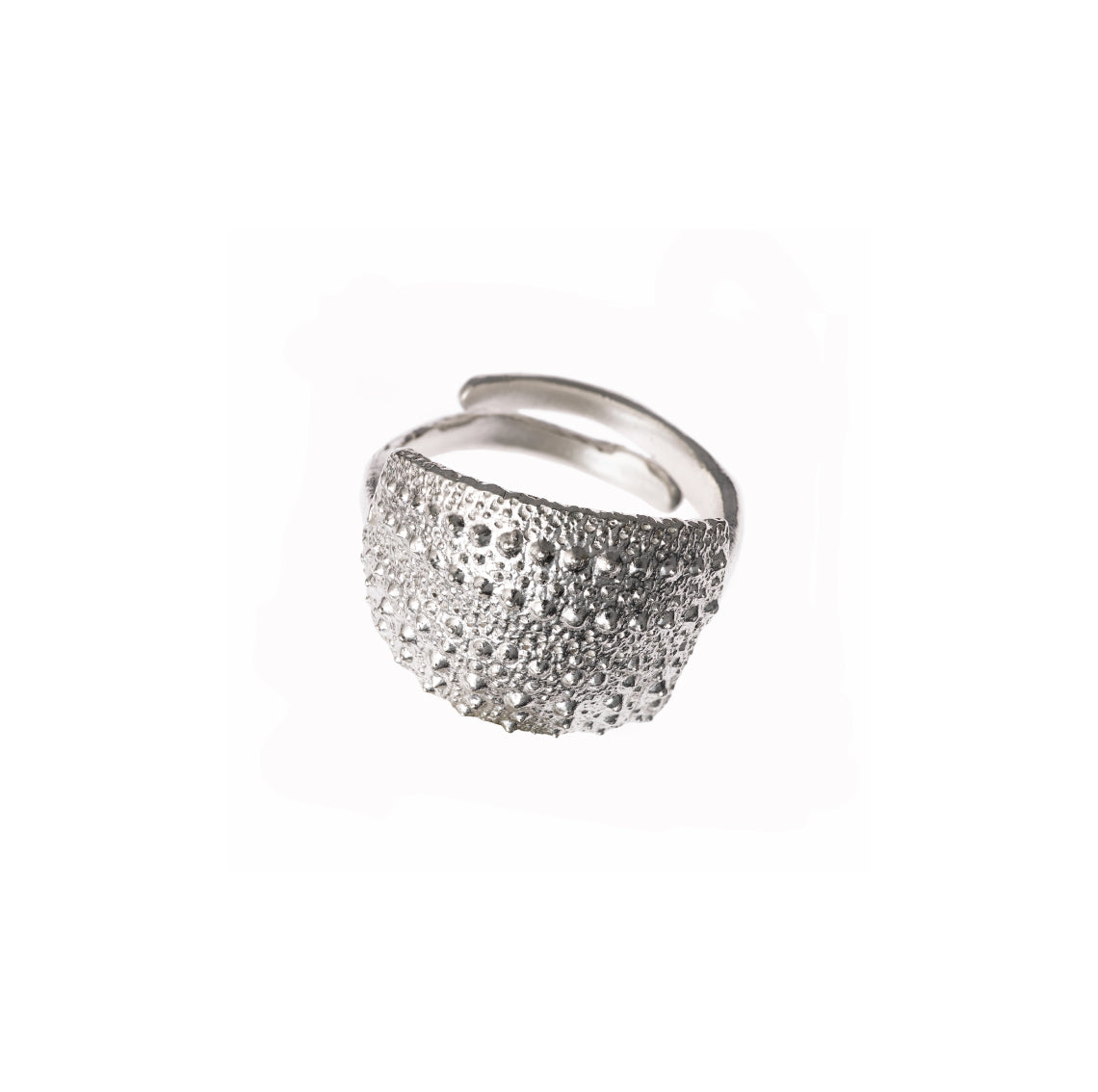 ring double urchin fragment