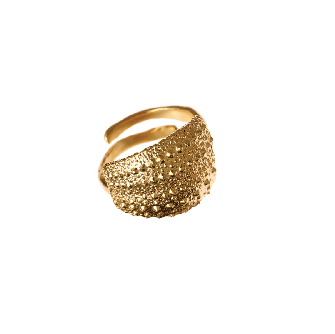 ring double urchin fragment