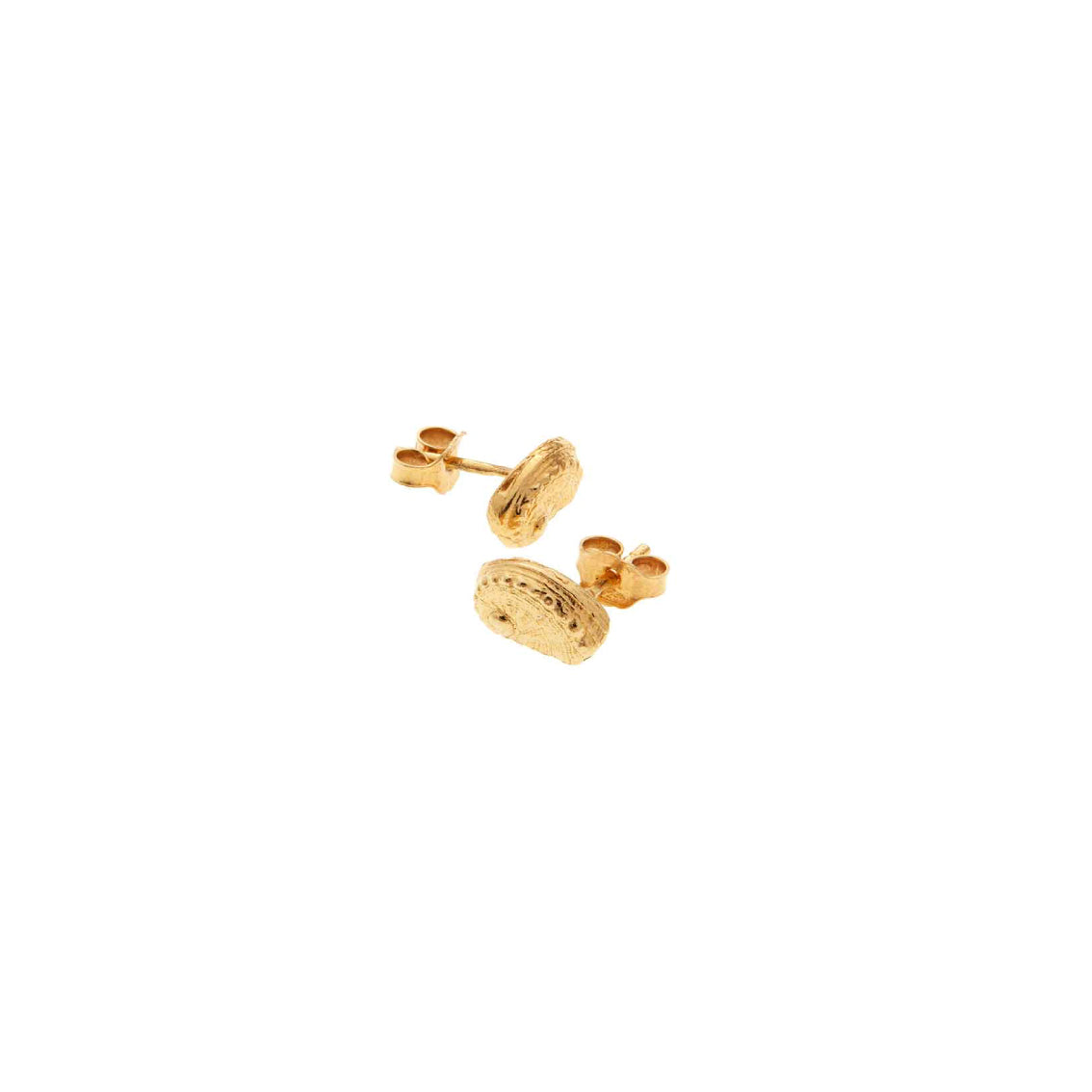 earrings haliotis