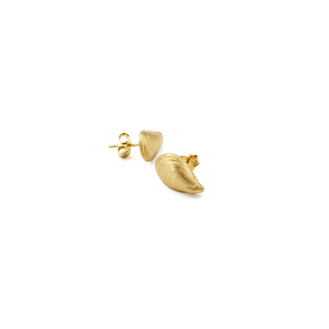 earrings mytilus