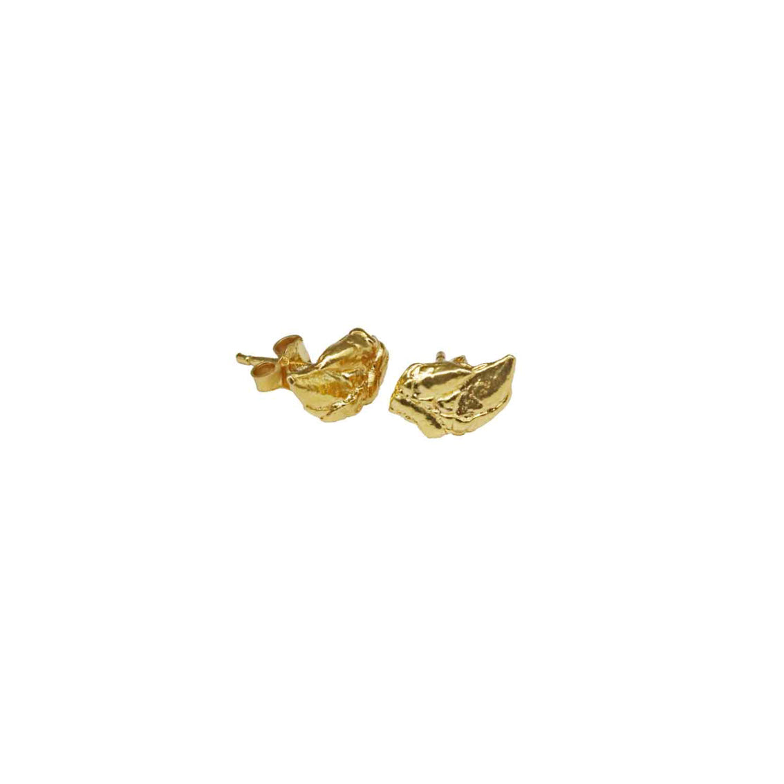 earrings pollicipes