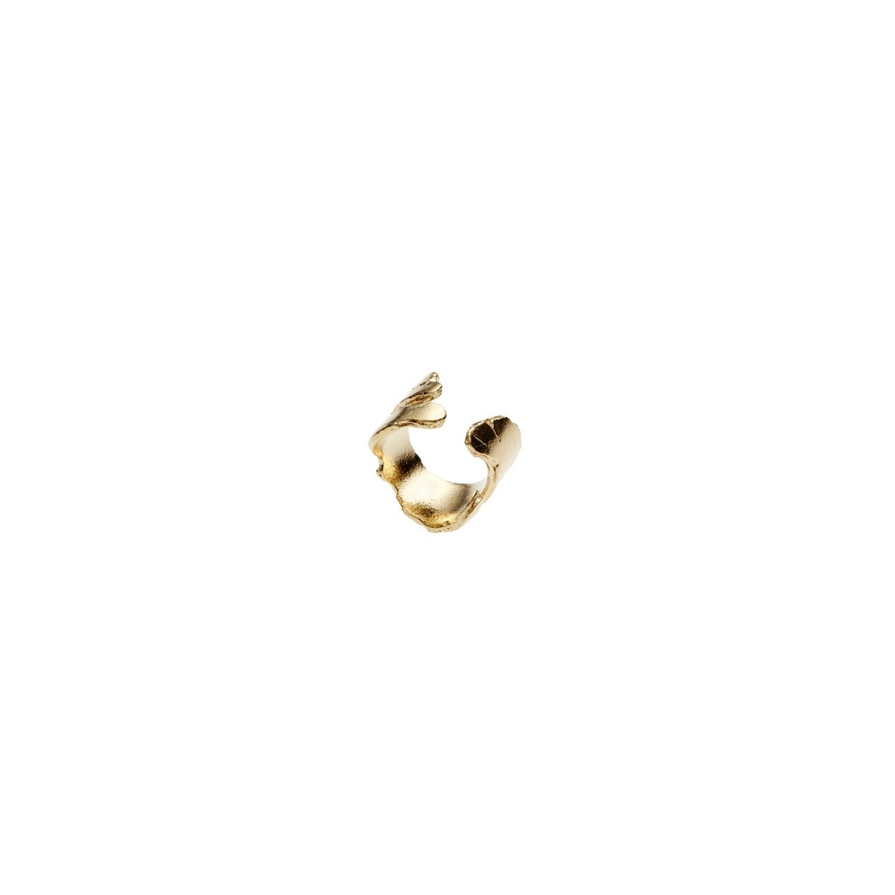 ear cuff nature (im)perfections