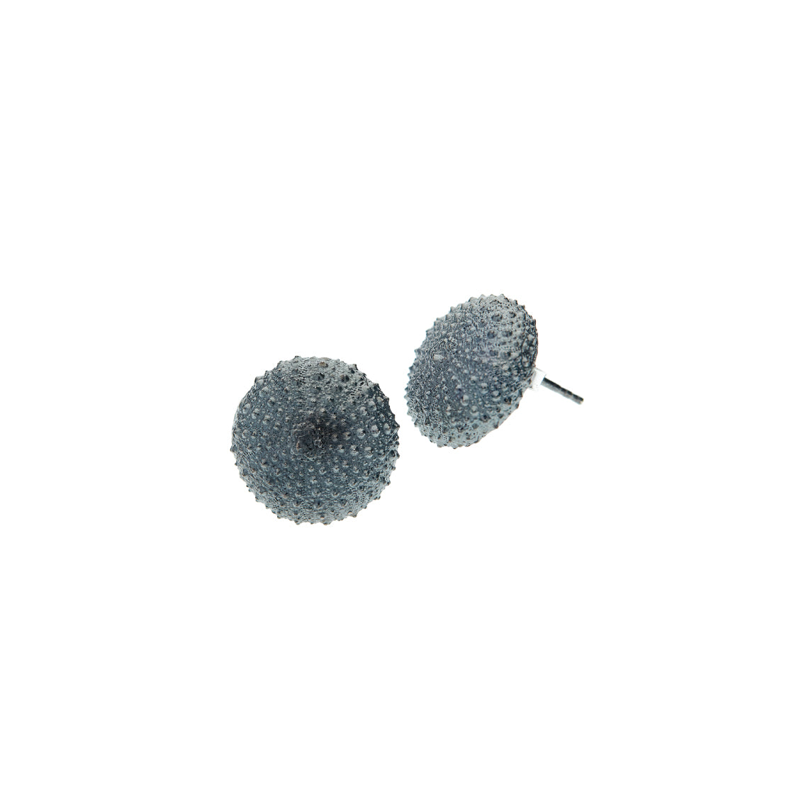 earrings sea urchin