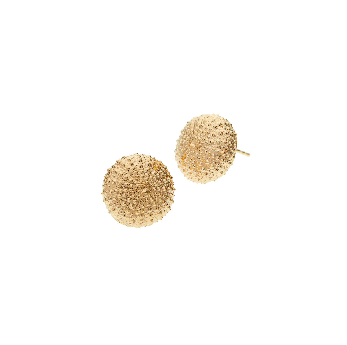 earrings sea urchin