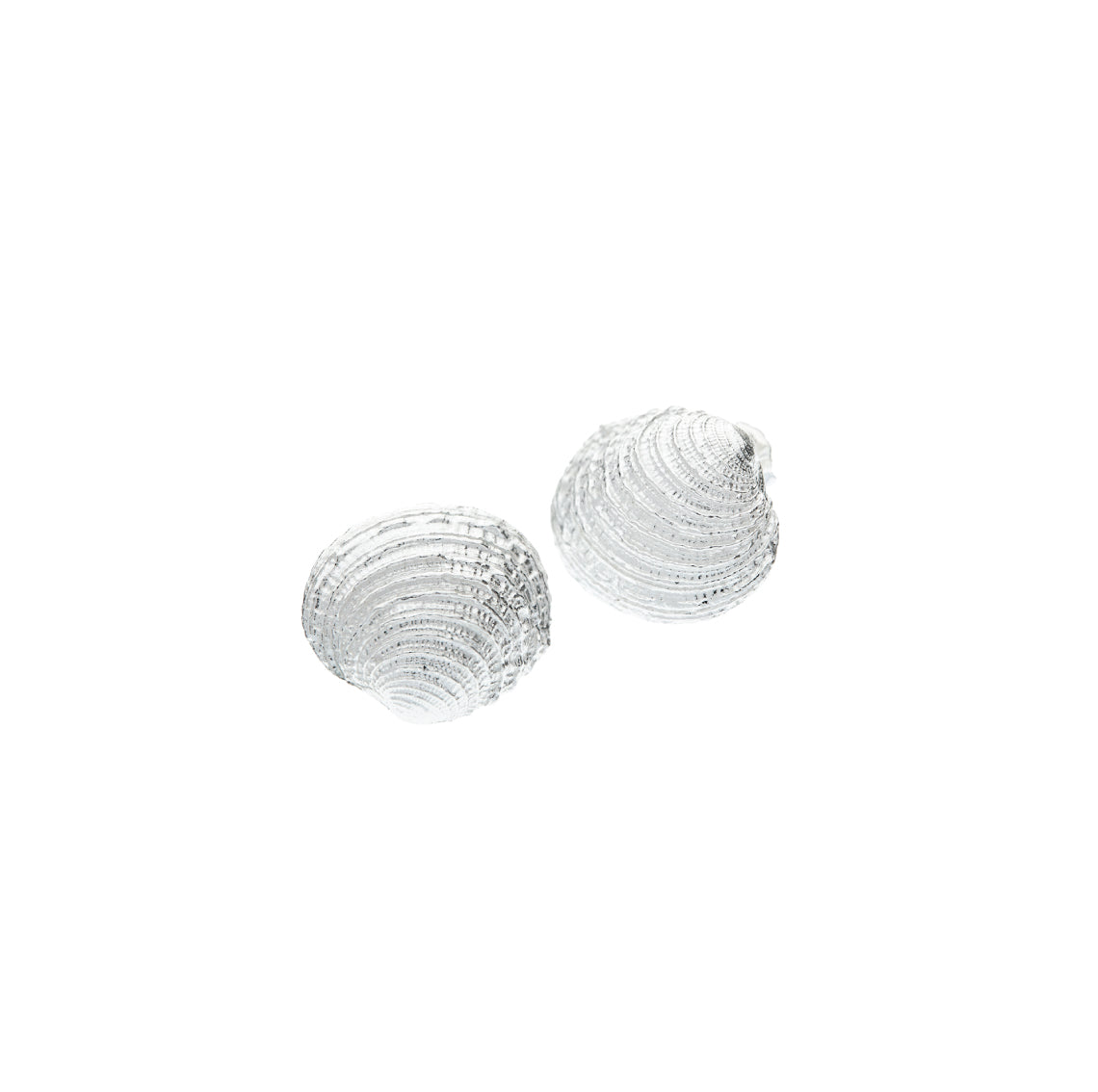earrings venus
