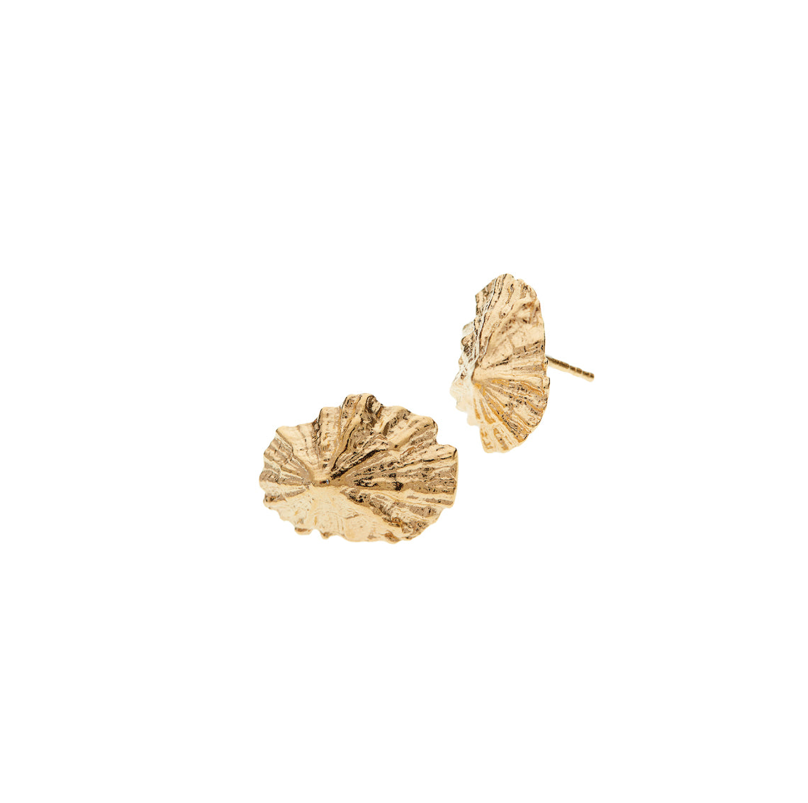 earrings patella