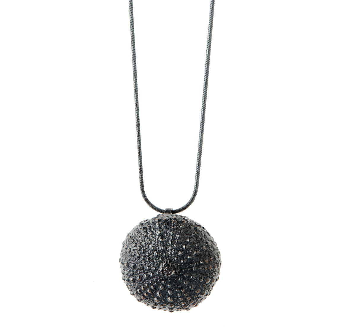 necklace sea urchin