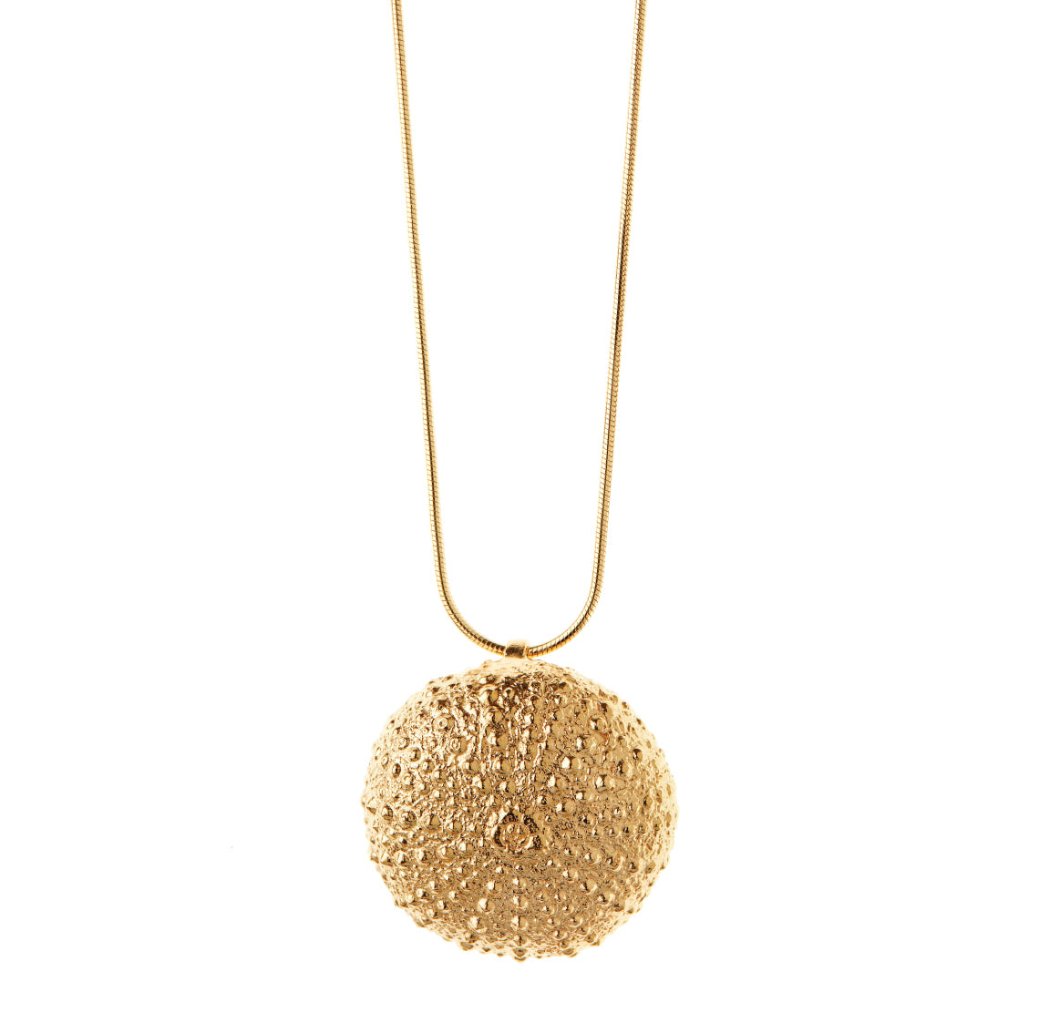 necklace sea urchin
