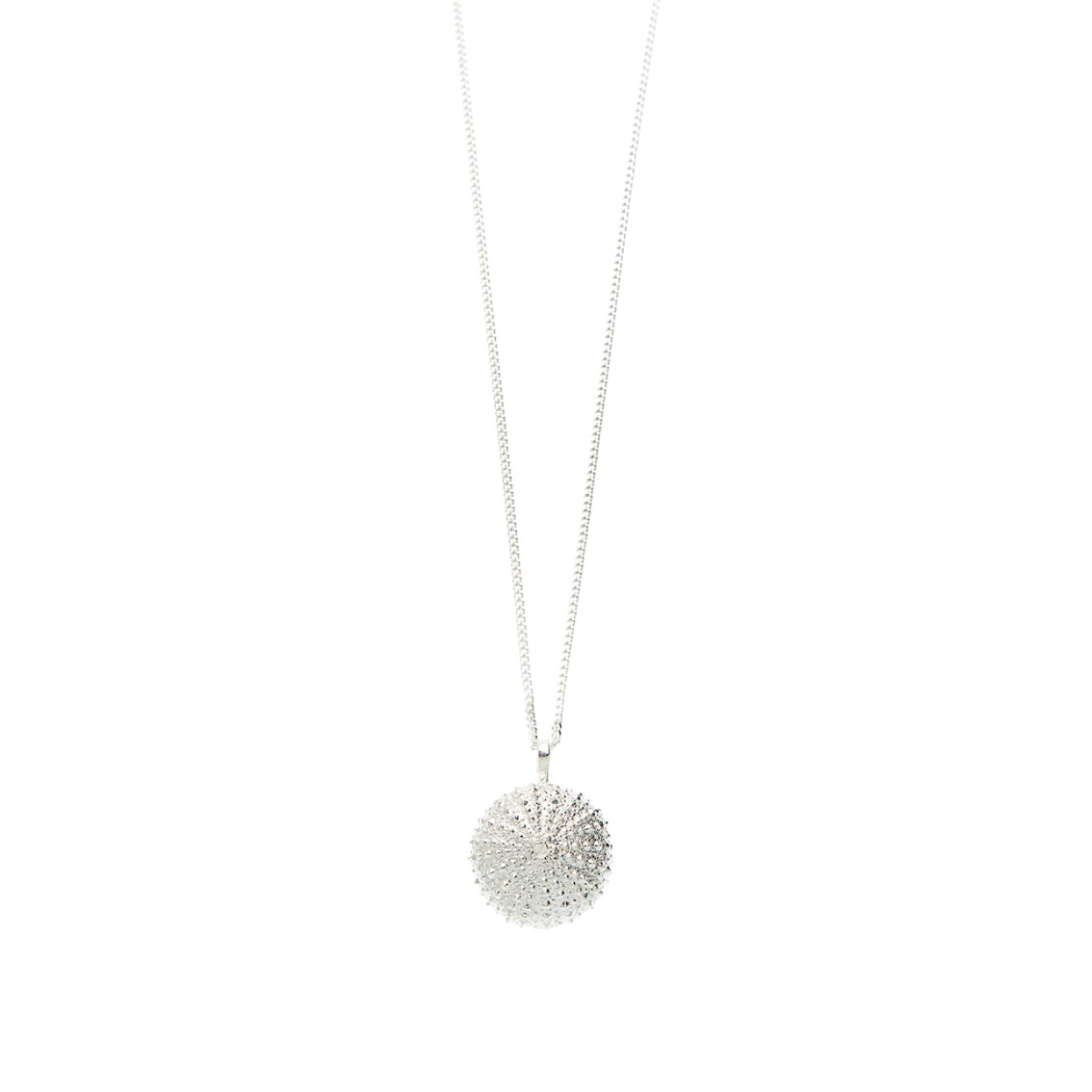 necklace sea urchin