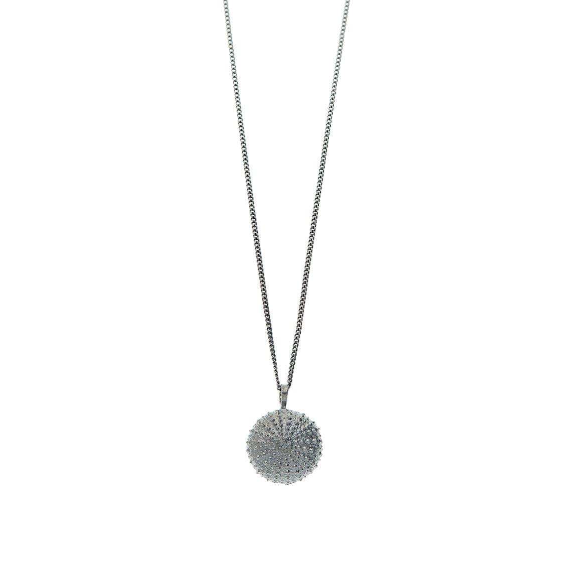 necklace sea urchin