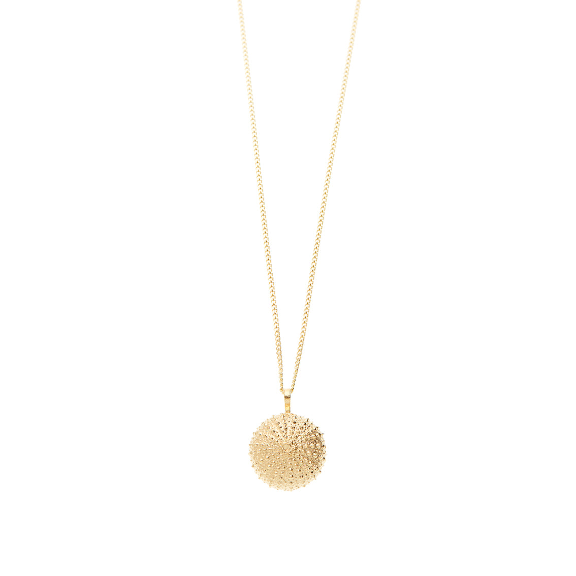 necklace sea urchin