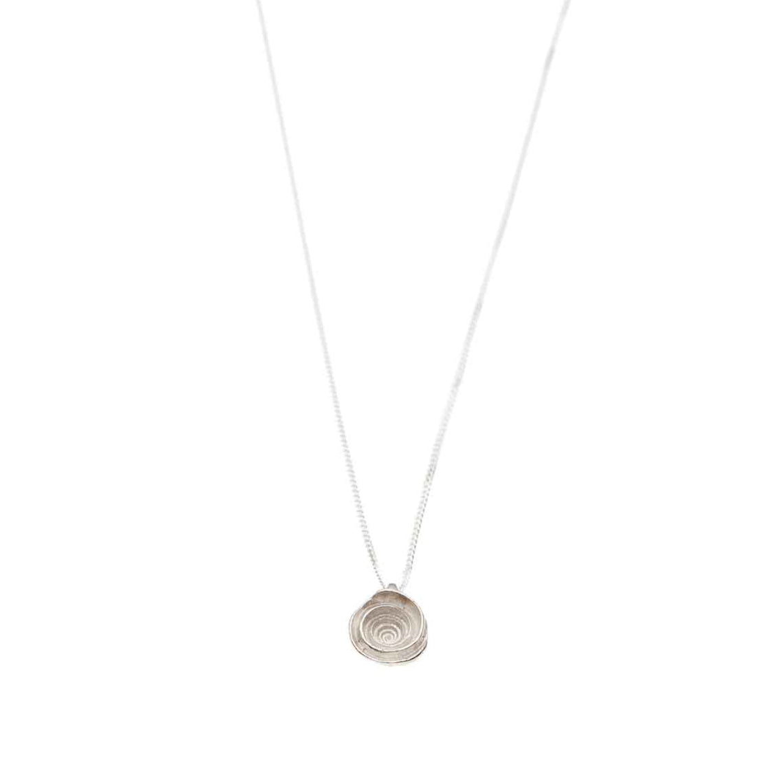 necklace snail fragment