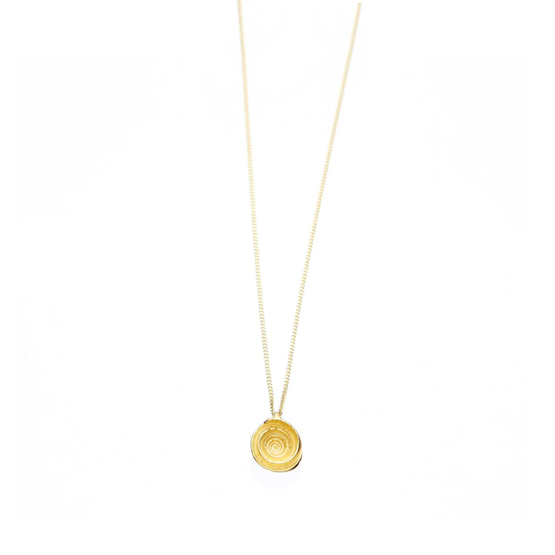 necklace snail fragment