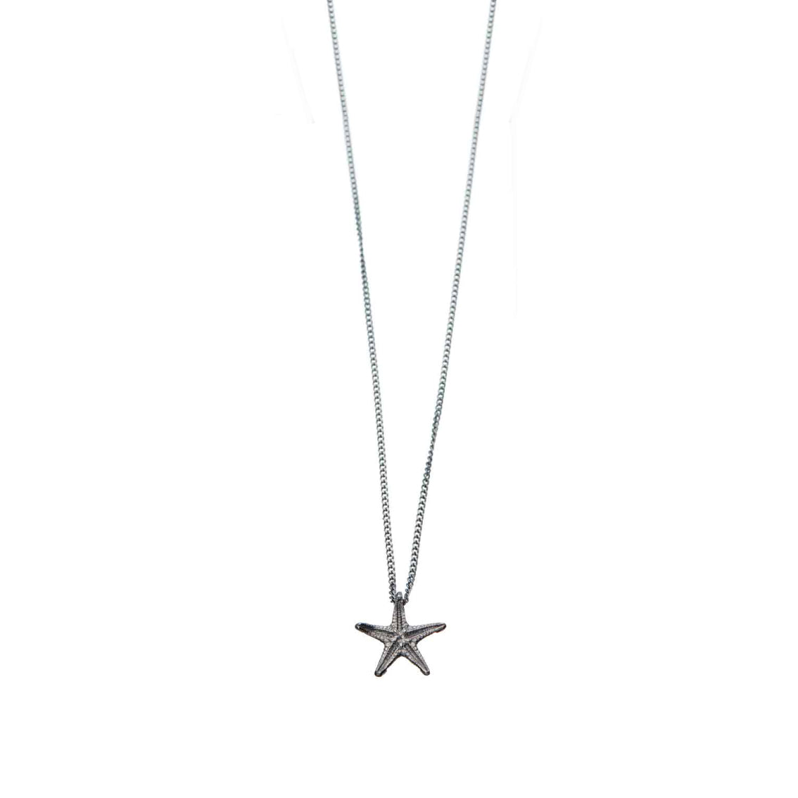 "Asteroidea", MICRO Molluscus Collection.