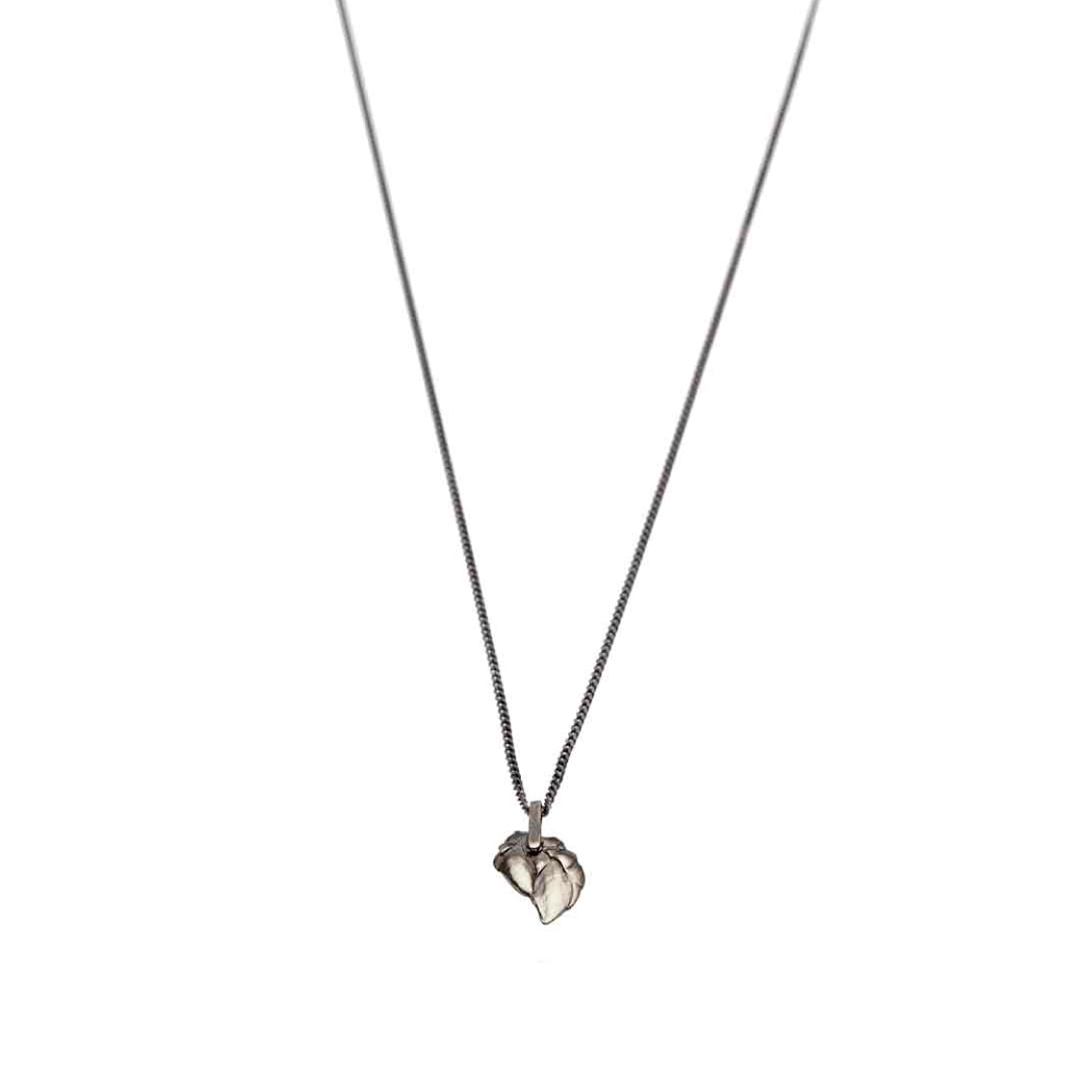 necklace pollicipes