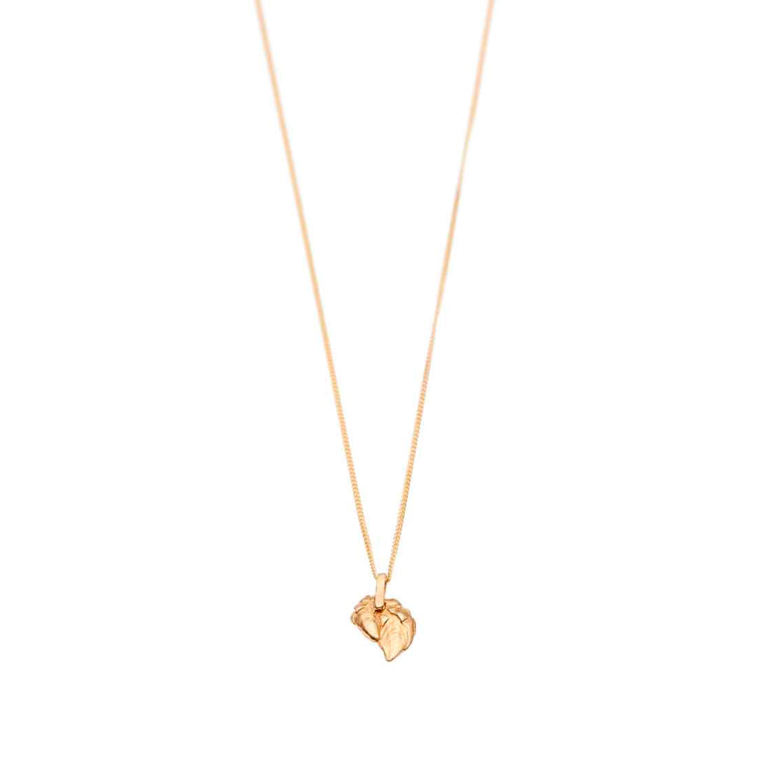 necklace pollicipes