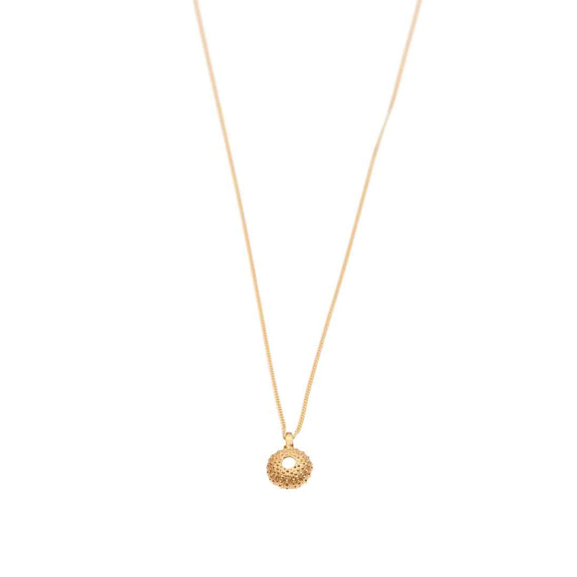 necklace sea urchin