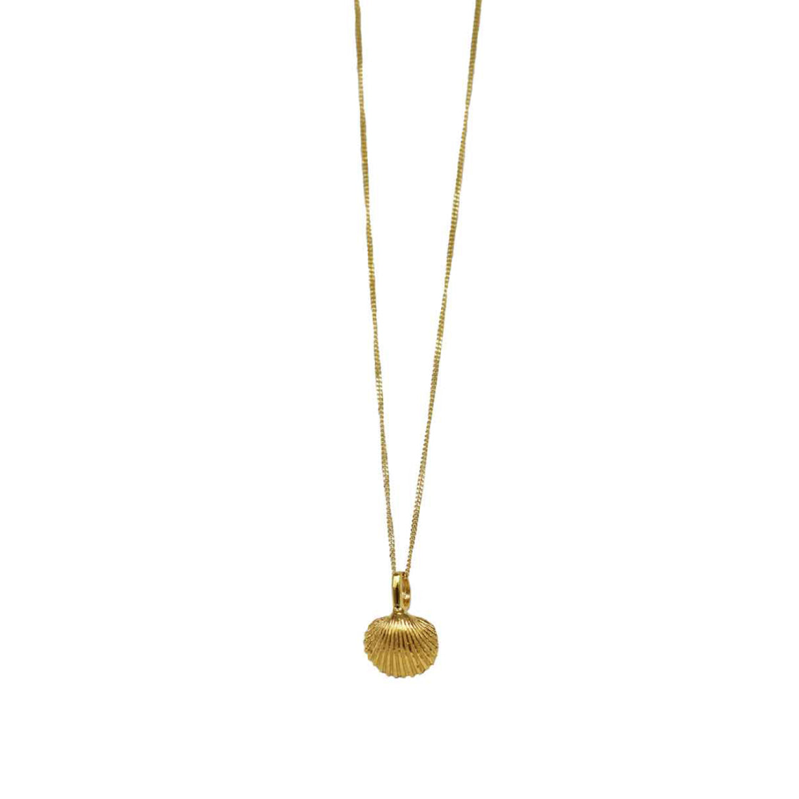 necklace micro cardiidae