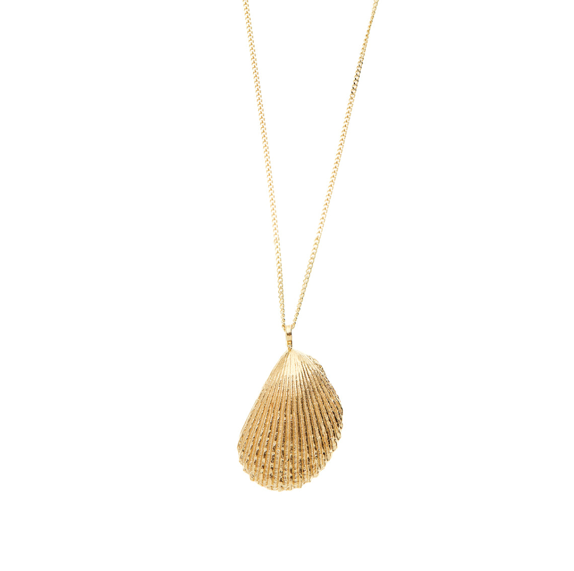 necklace vieira limidae