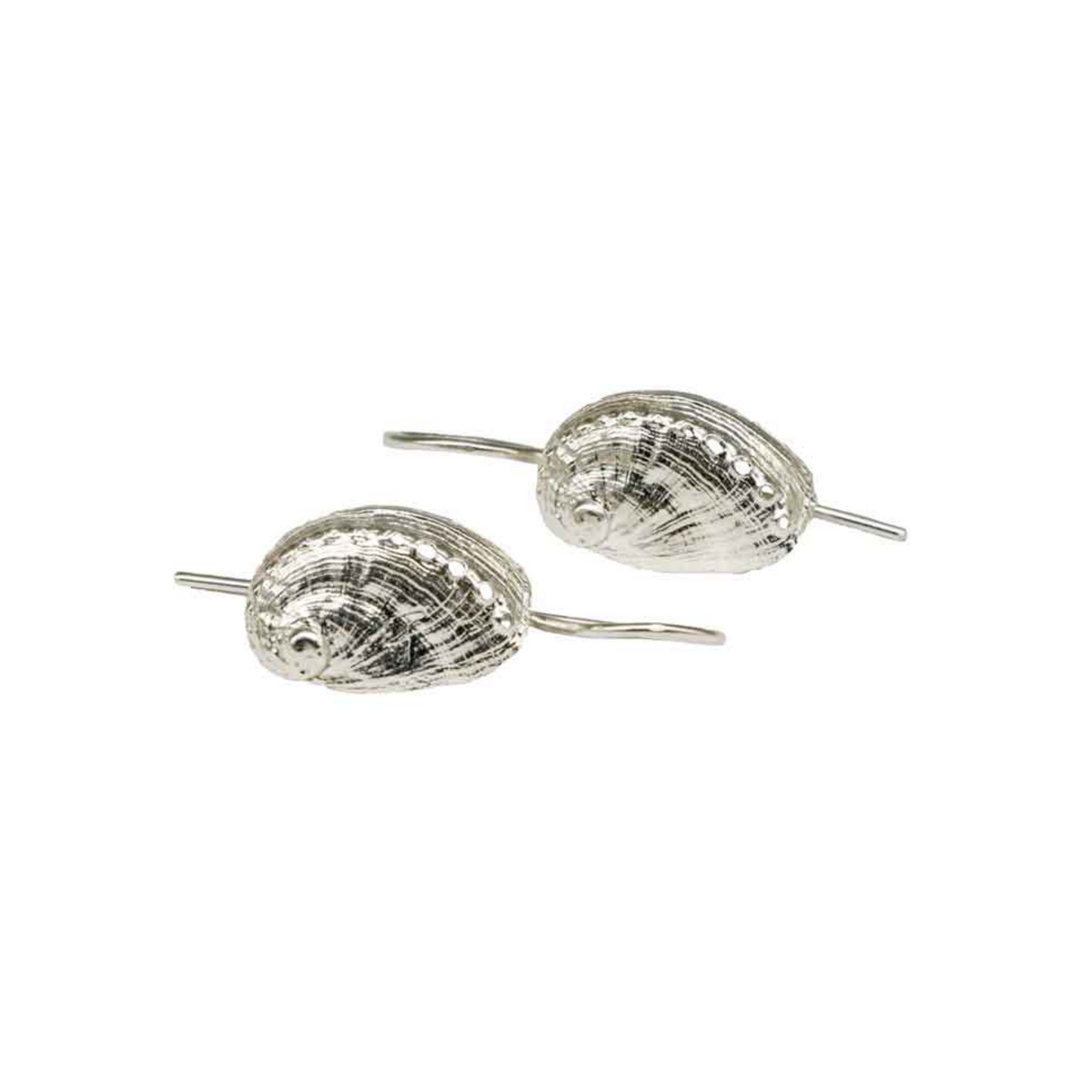 earrings macro haliotis