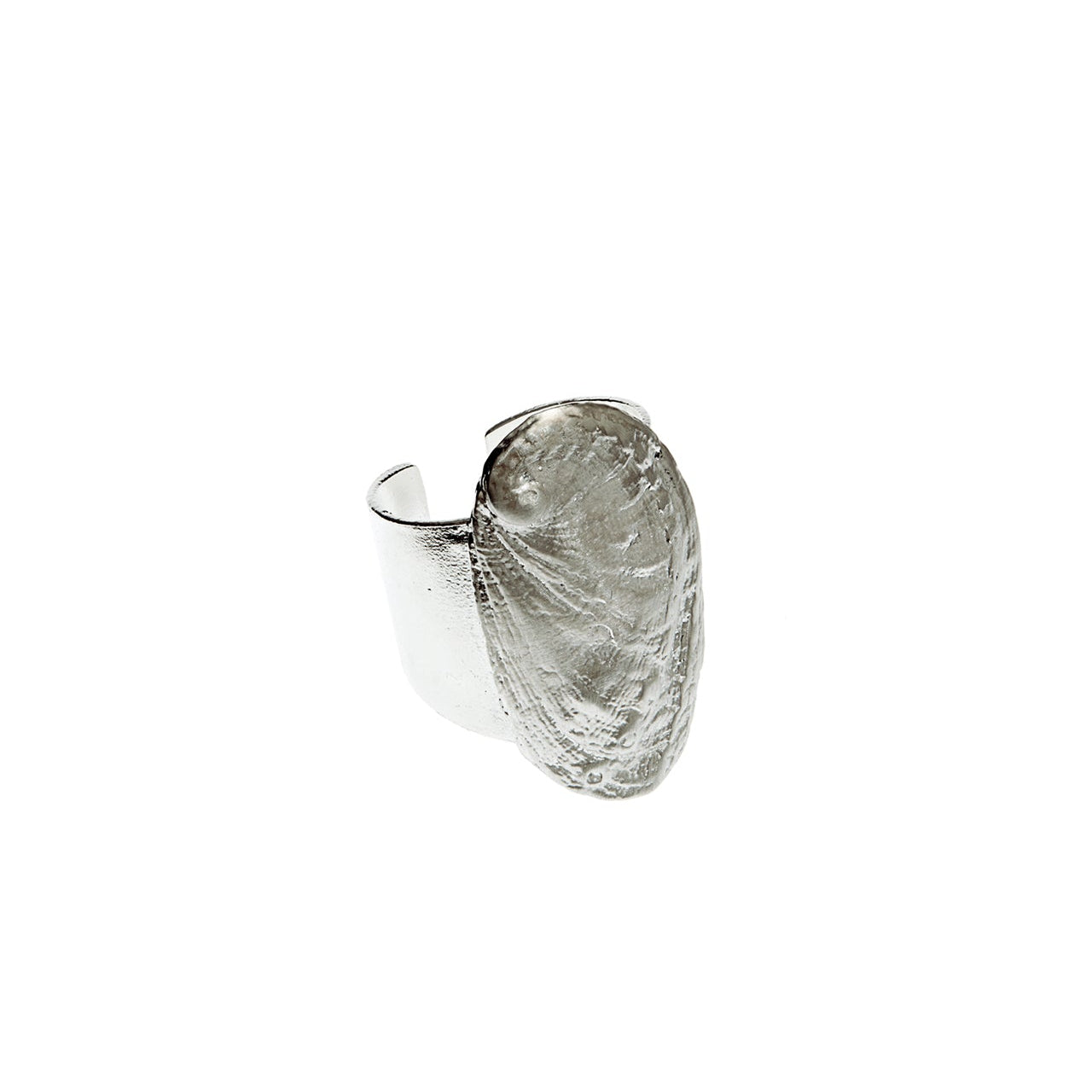 ring haliotis
