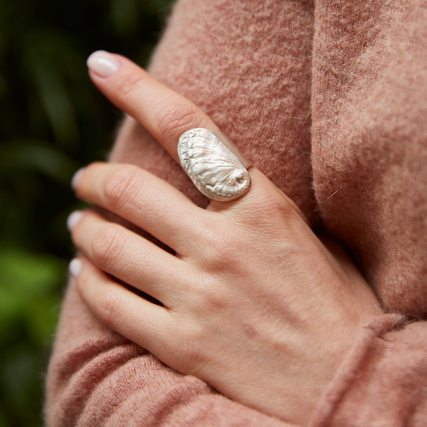 ring haliotis