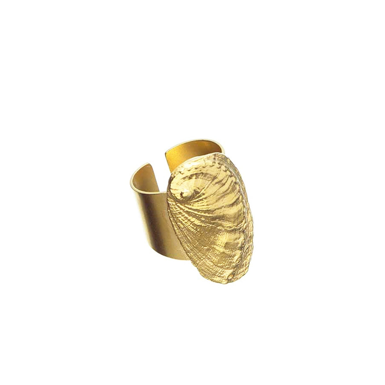 ring haliotis