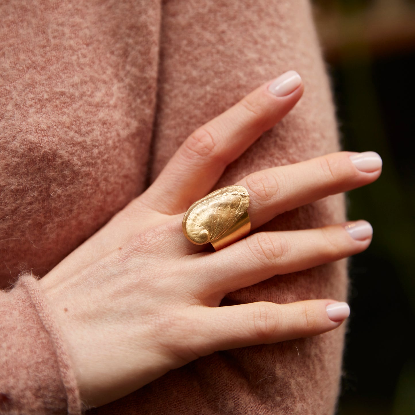 ring haliotis