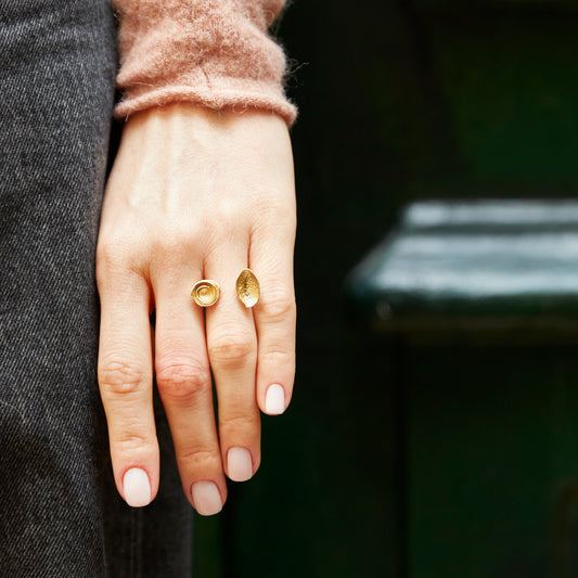 ring seed x snail