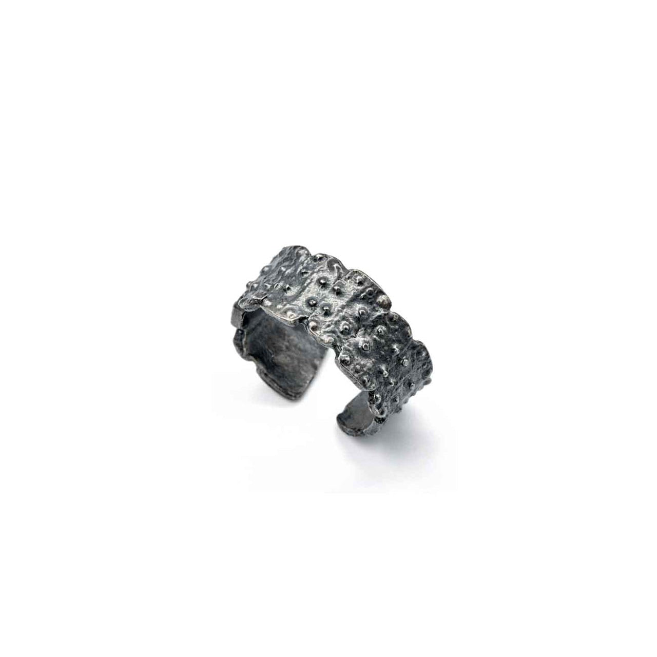 ring sea urchin fragments