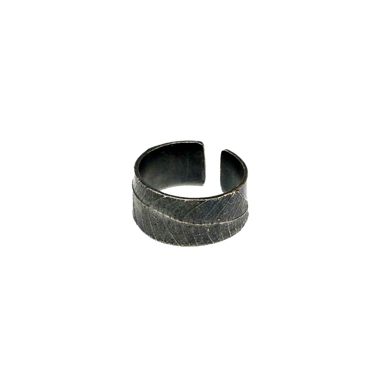 ring leaf fragments